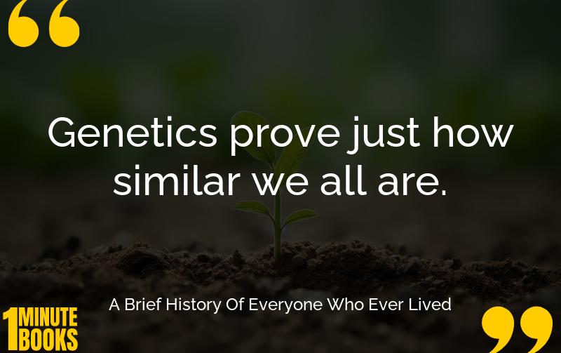 A Brief History Of Everyone Who Ever Lived Summary Brief Summary
