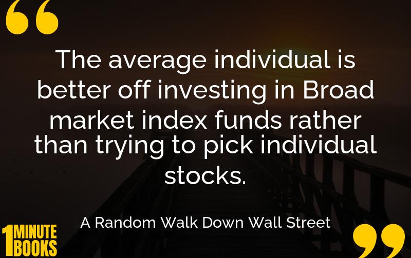 A Random Walk Down Wall Street Summary Brief Summary