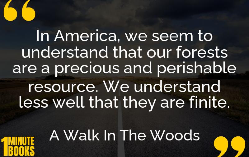 A Walk In The Woods Summary Brief Summary