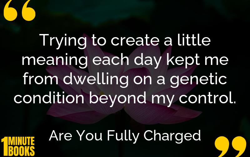 Are You Fully Charged Summary Brief Summary