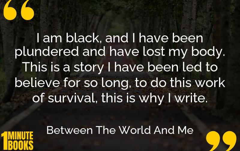 Between The World And Me Summary Brief Summary