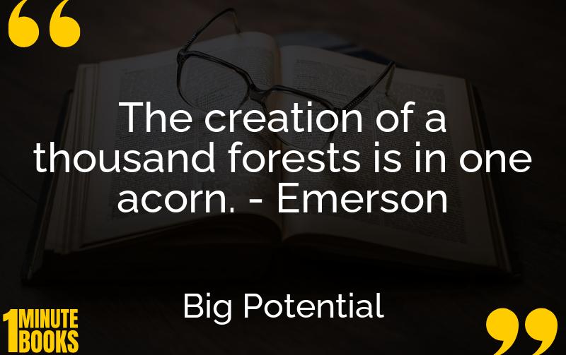 Big Potential Summary Brief Summary