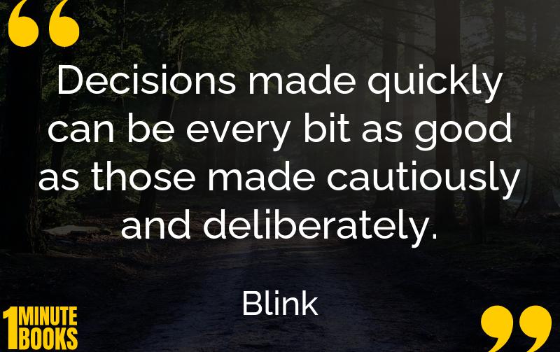 Blink Summary Brief Summary
