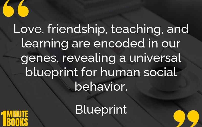 Blueprint Summary Brief Summary