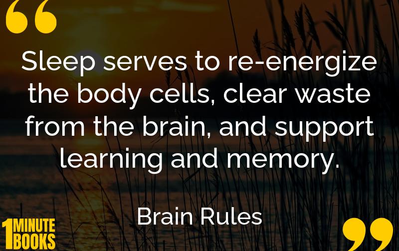 Brain Rules Summary Brief Summary