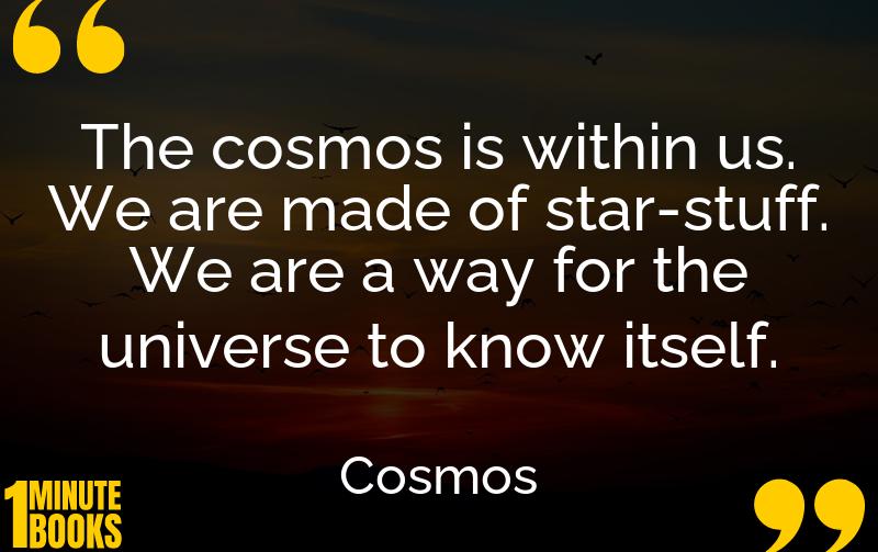 Cosmos Summary Brief Summary