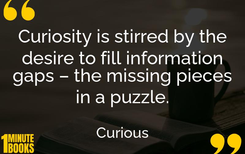 Curious Summary Brief Summary