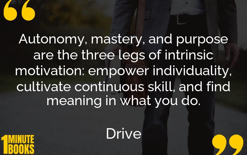 Drive Summary Brief Summary