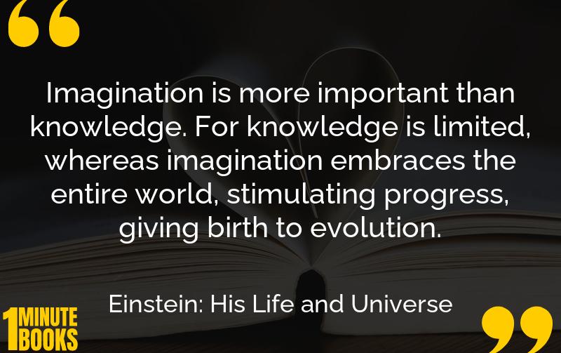 Einstein: His Life and Universe Summary Brief Summary