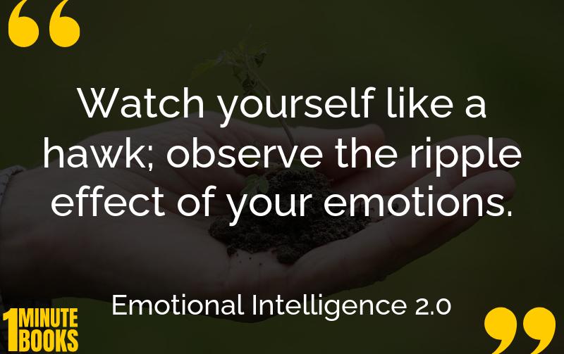 Emotional Intelligence 2.0 Summary Brief Summary