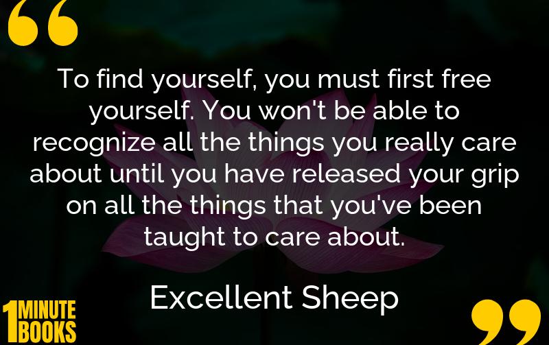 Excellent Sheep Summary Brief Summary