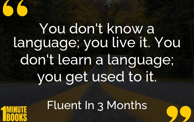 Fluent In 3 Months Summary Brief Summary