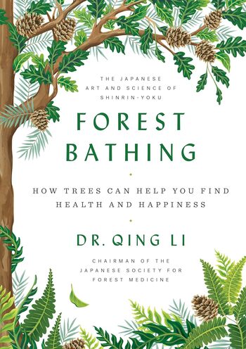 Forest Bathing Summary Key Points