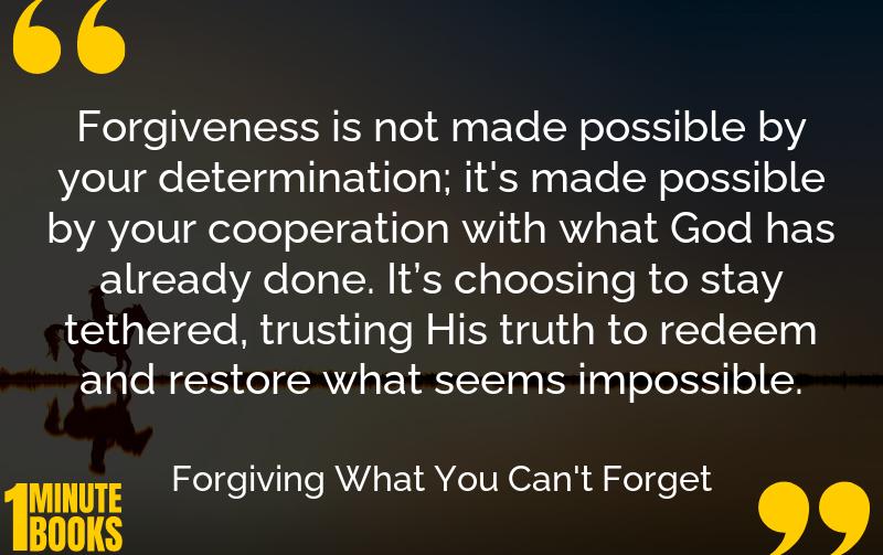 Forgiving What You Can't Forget Summary Brief Summary