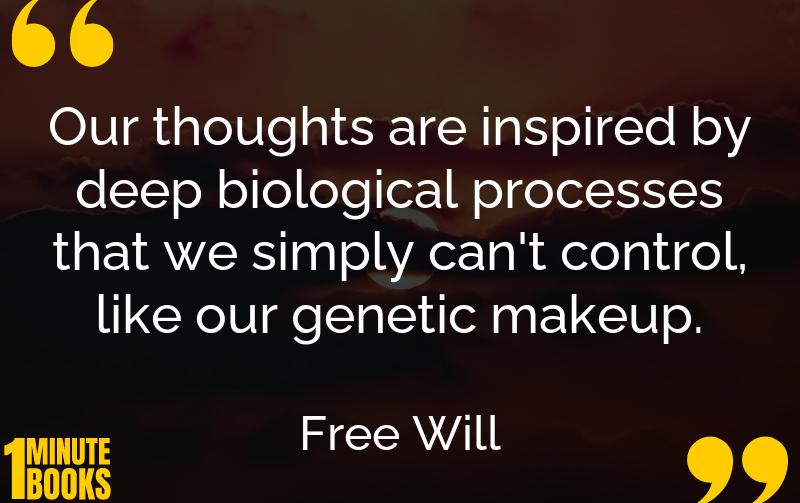 Free Will Summary Brief Summary