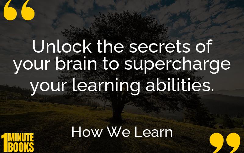 How We Learn Summary Brief Summary