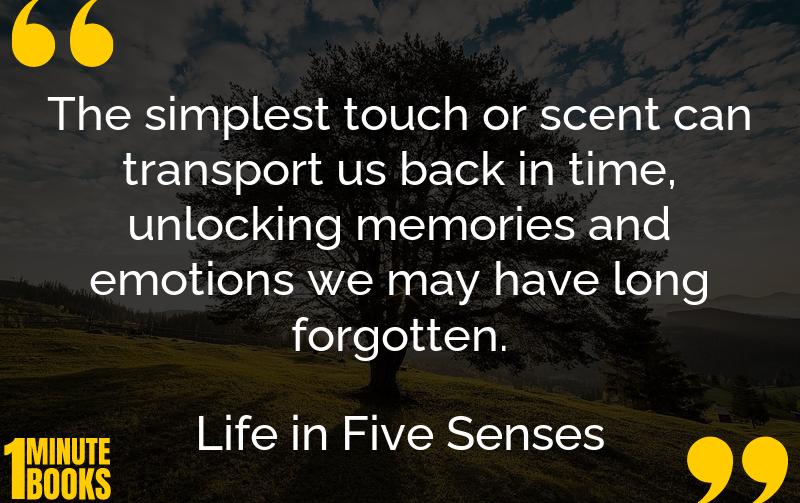 Life in Five Senses Summary Brief Summary