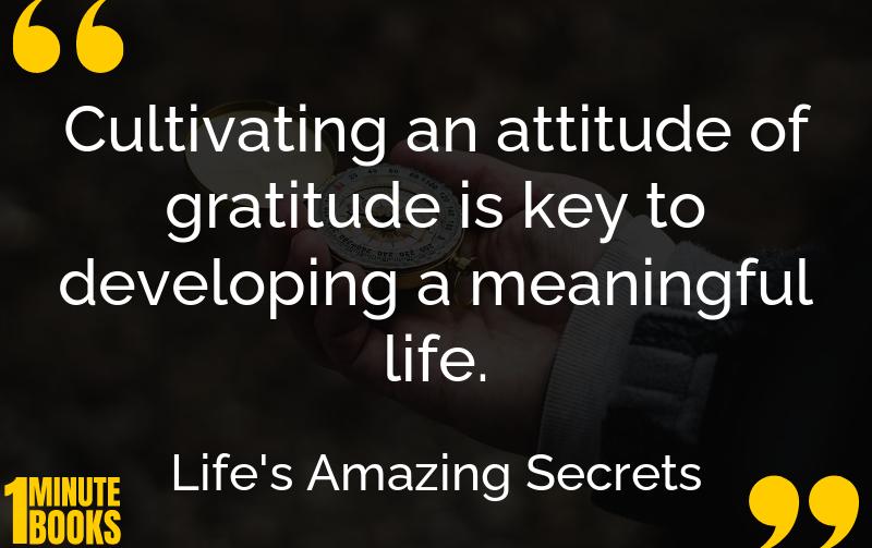 Life's Amazing Secrets Summary Brief Summary