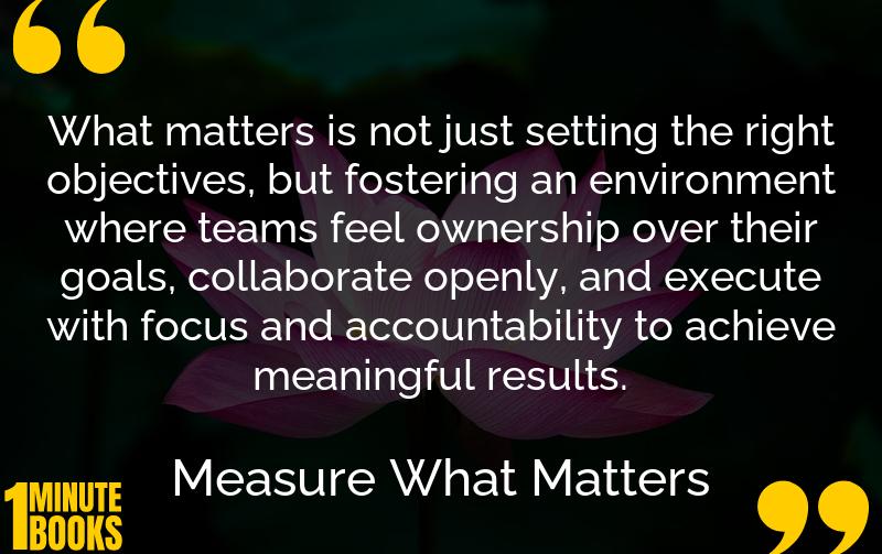 Measure What Matters Summary Brief Summary