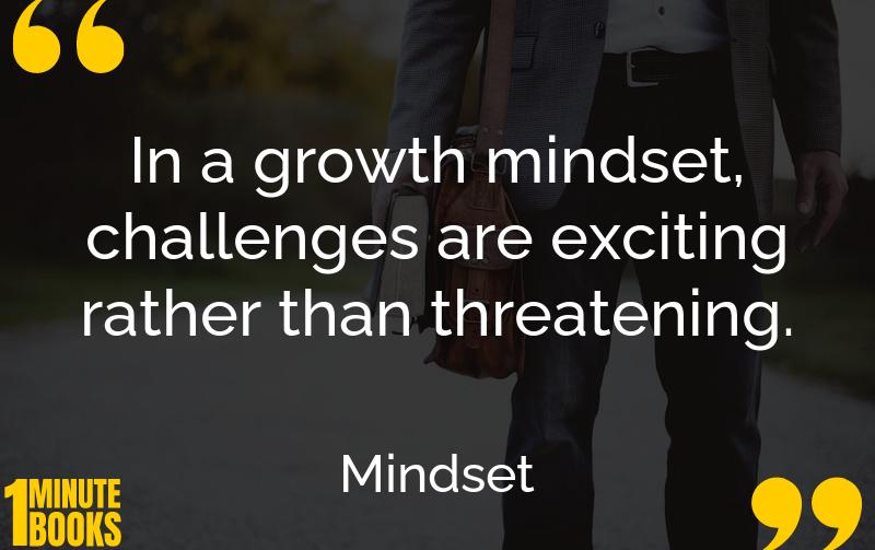 Mindset Summary Brief Summary