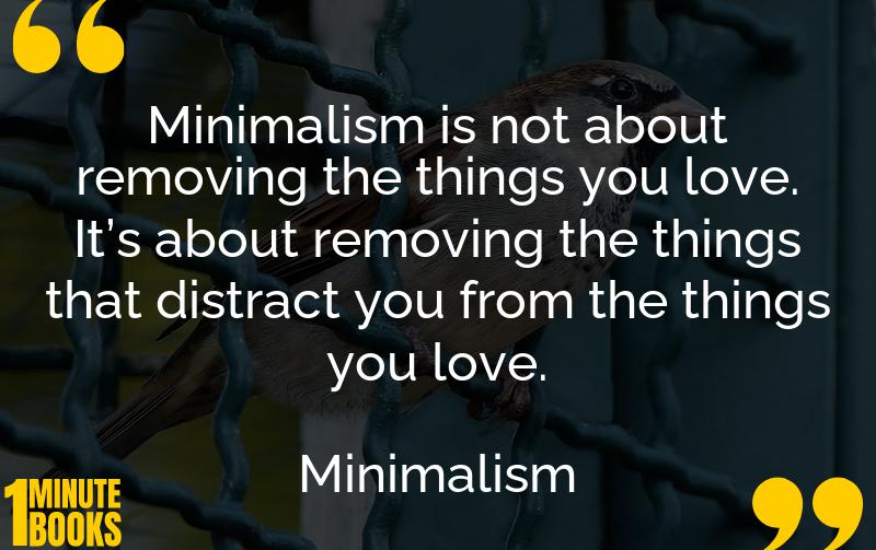 Minimalism Summary Brief Summary