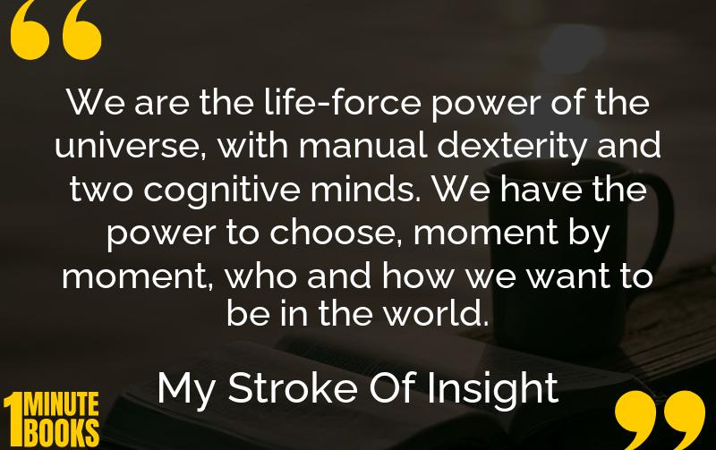 My Stroke Of Insight Summary Brief Summary