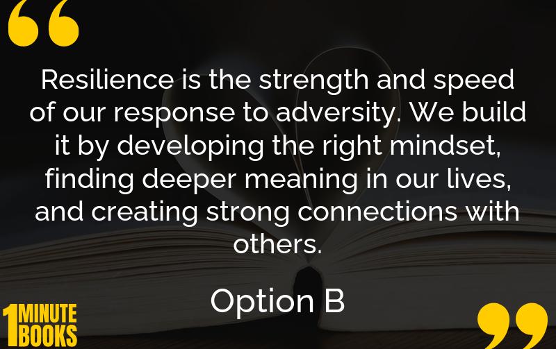 Option B Summary Brief Summary