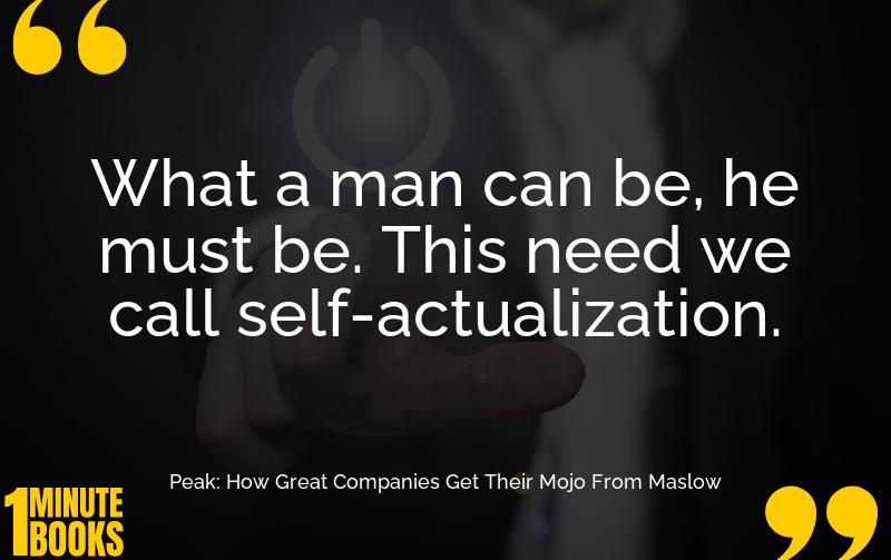 Peak: How Great Companies Get Their Mojo From Maslow Summary Brief Summary