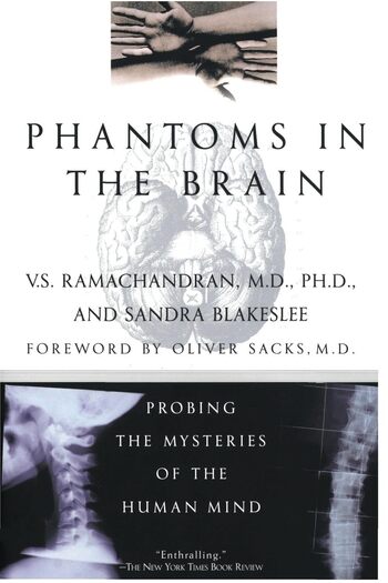 Phantoms In The Brain Summary Key Points