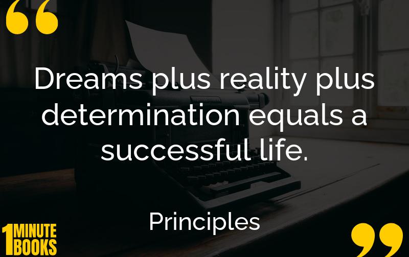 Principles Summary Brief Summary