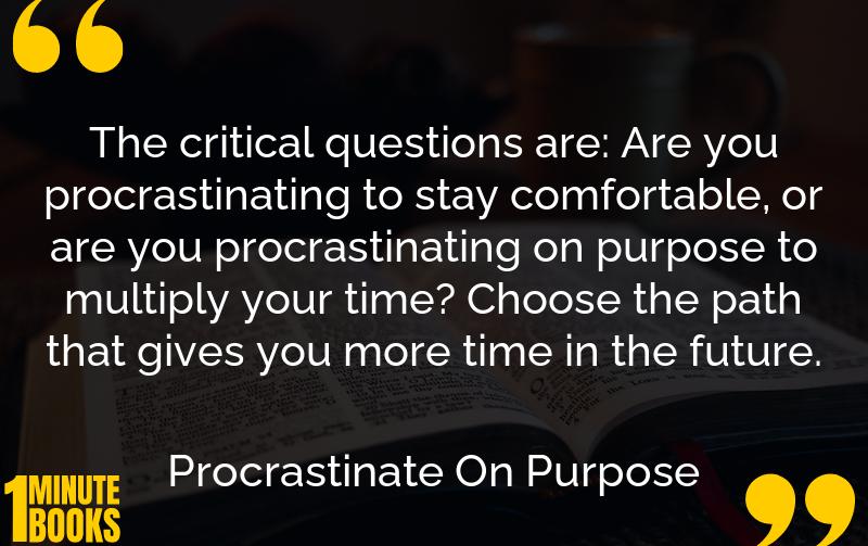Procrastinate On Purpose Summary Brief Summary