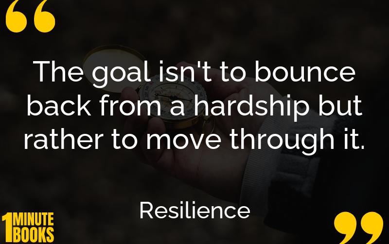 Resilience Summary Brief Summary