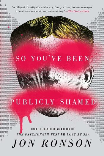 So You've Been Publicly Shamed Summary Key Points