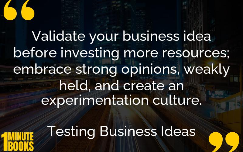 Testing Business Ideas Summary Brief Summary