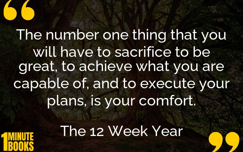 The 12 Week Year Summary Brief Summary