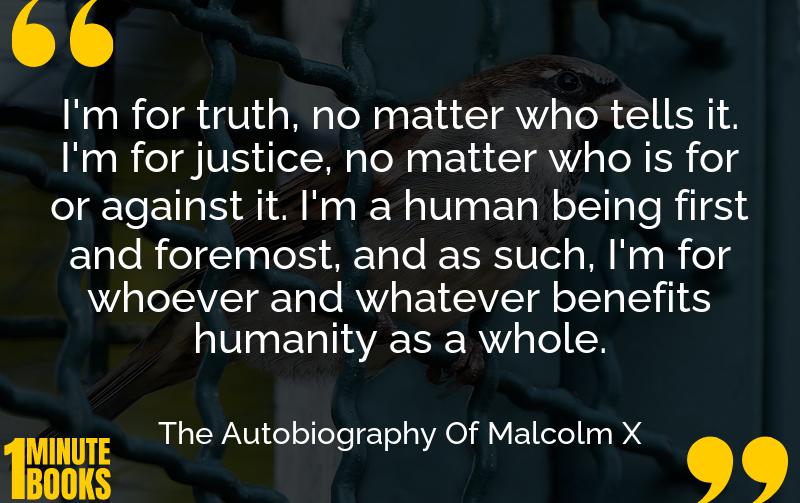 The Autobiography Of Malcolm X Summary Brief Summary