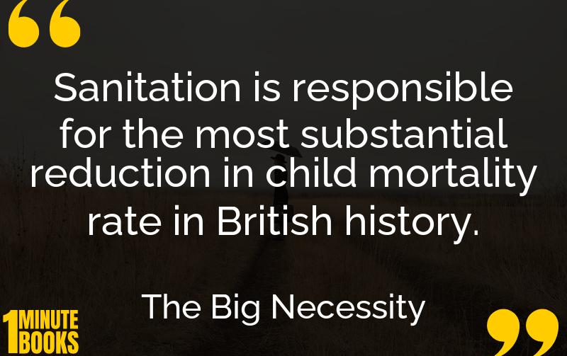 The Big Necessity Summary Brief Summary