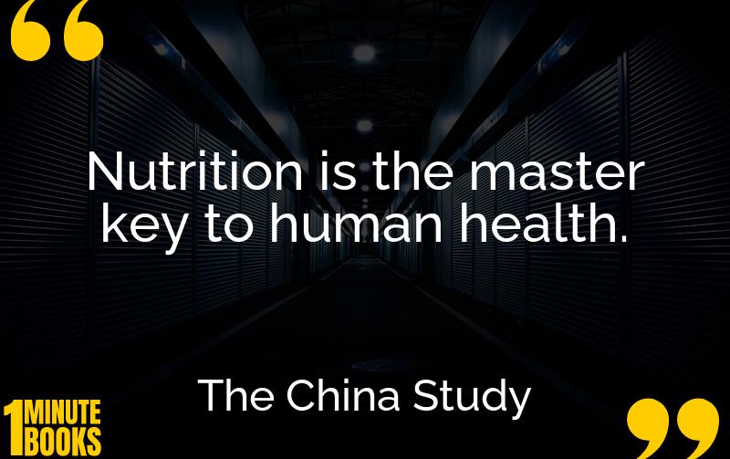 The China Study Summary Brief Summary