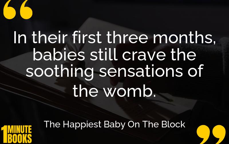 The Happiest Baby On The Block Summary Brief Summary
