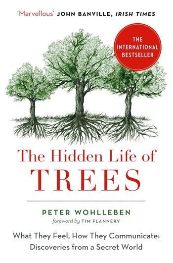 The Hidden Life of Trees Summary Key Points