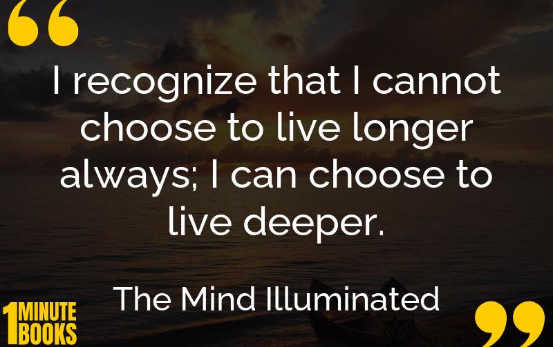The Mind Illuminated Summary Brief Summary