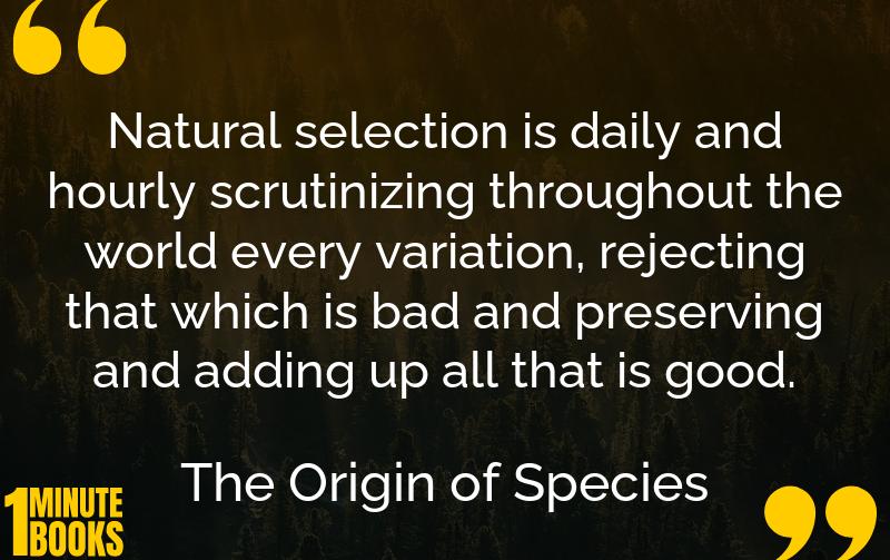 The Origin of Species Summary Brief Summary