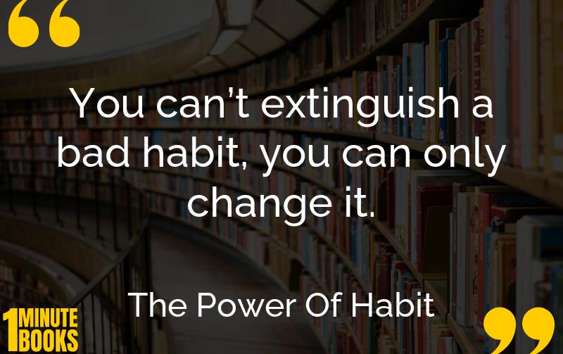 The Power Of Habit Summary Brief Summary