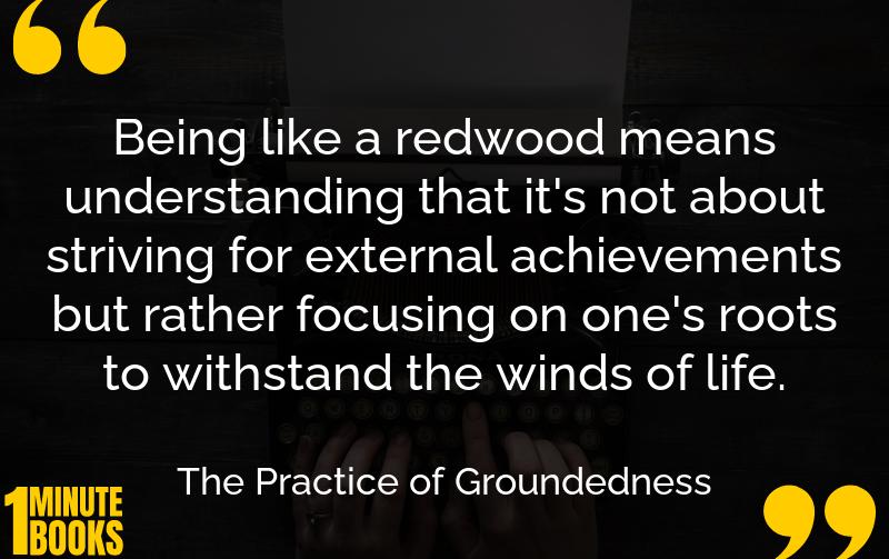The Practice of Groundedness Summary Brief Summary