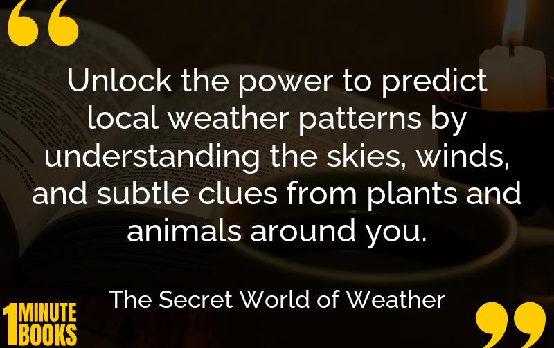 The Secret World of Weather Summary Brief Summary