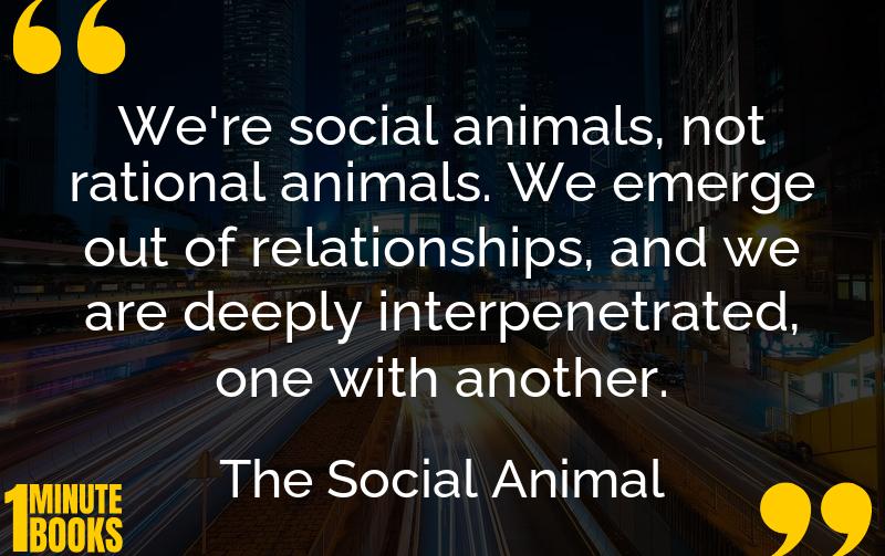 The Social Animal Summary Brief Summary