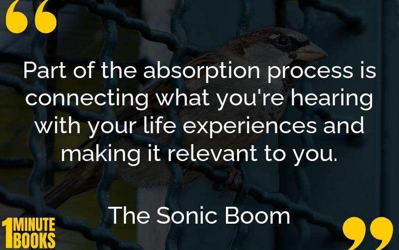 The Sonic Boom Summary Brief Summary