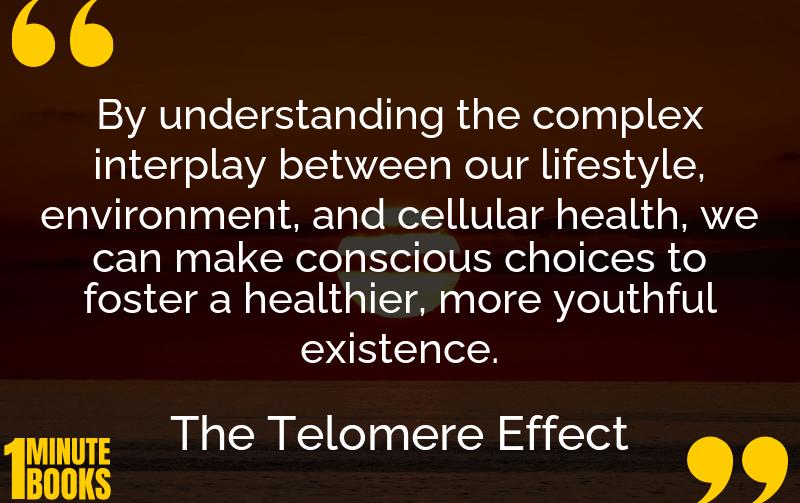 The Telomere Effect Summary Brief Summary