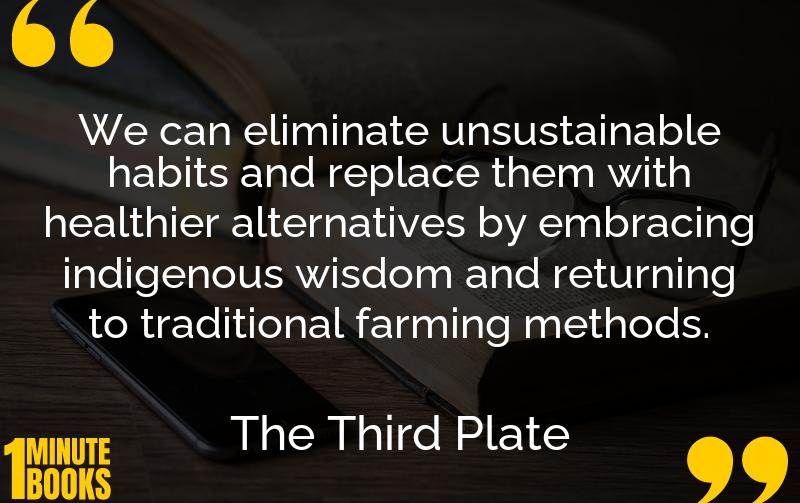 The Third Plate Summary Brief Summary