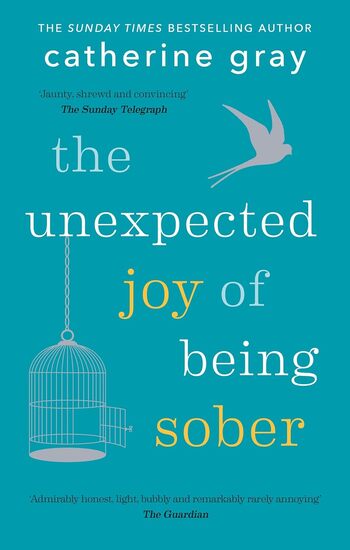 The Unexpected Joy Of Being Sober Summary Key Points